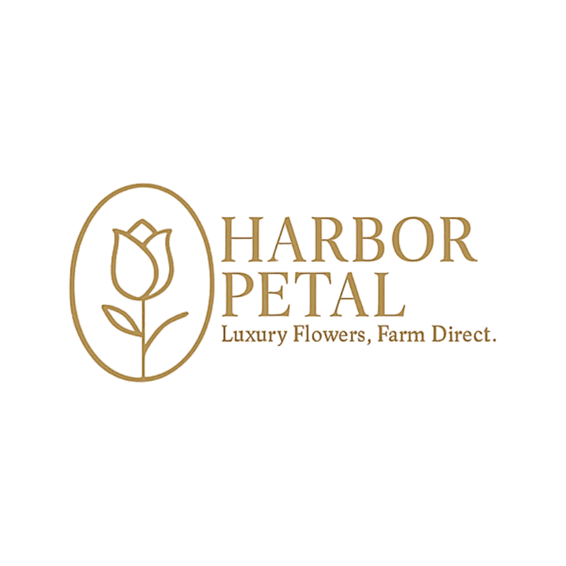Harbor Petal