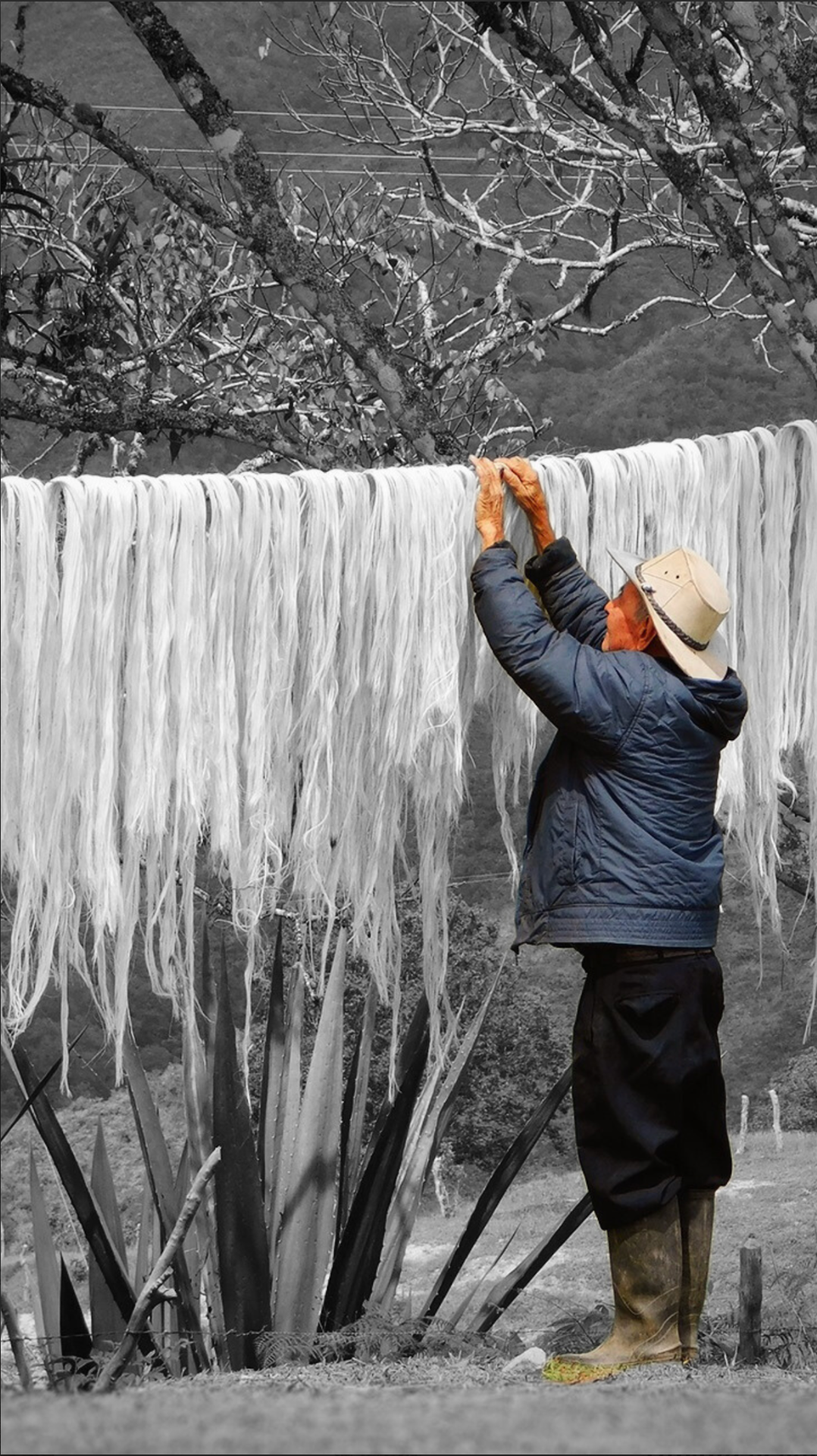 Screenshot 2026-03-02 at 7.00.59 PM